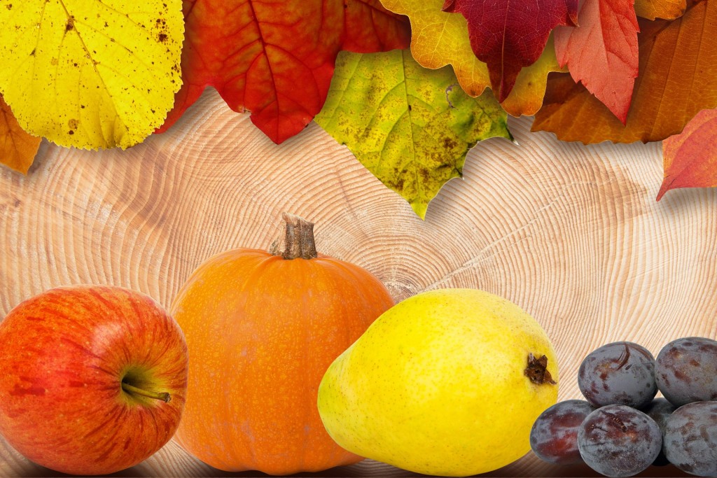 Kuvajte i mesite sa čarobnim plodovima jeseni