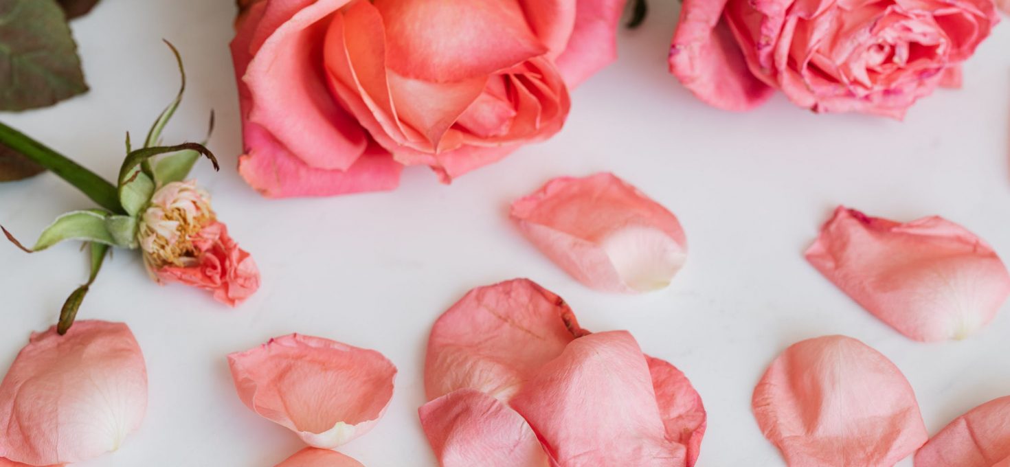 Čaj od osušenih latica ruže čuva zdravlje