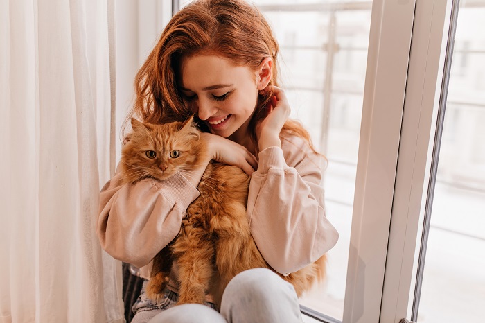 8 razloga zašto su mačke idealni ljubimci